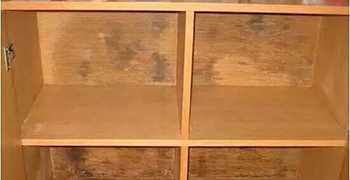 木柜子發(fā)霉處理方法合集!