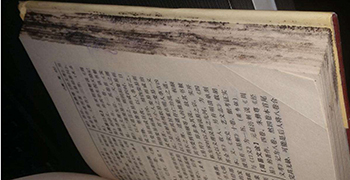 收藏的圖書為什么會發霉?圖書的防霉措施!