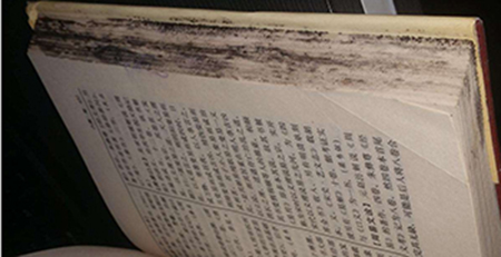 圖書 圖書
